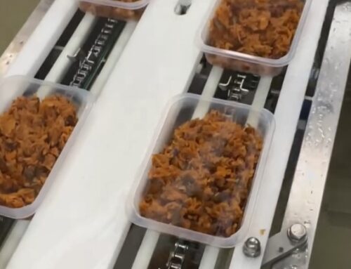 Bigos – Klasyka Smaku